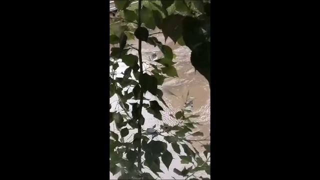 ВОДА СО ДВОРА В ПОДЪЕЗД ДОМА ПЕРВОМАЙСКАЯ 26.ИЮНЬ 2023 смотреть онлайн