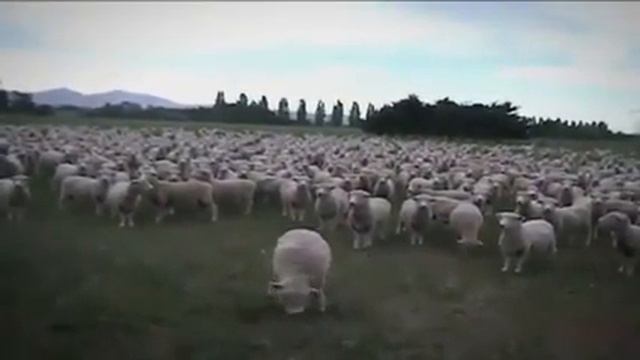 Значение угла Р Р смотреть онлайн