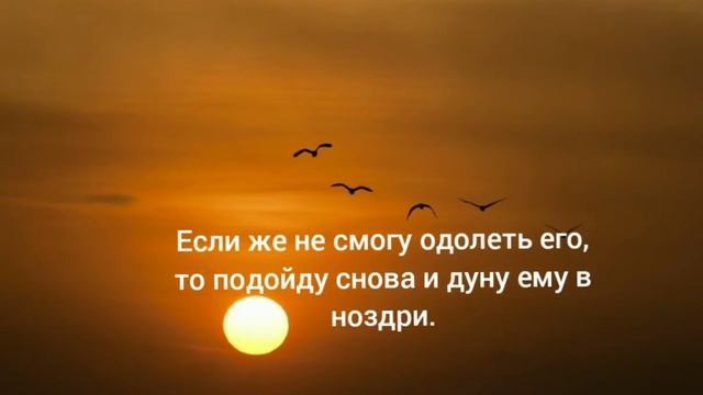 Творческий Путь к Саморазвитию