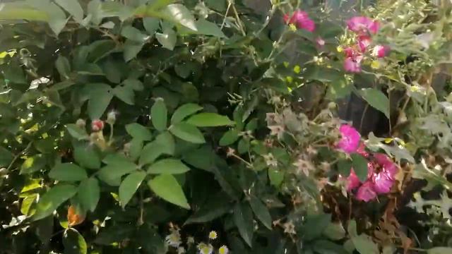 ПЫТАЮСЬ ПОНЯТЬ ГДЕ КТО? 25 августа 2022 года смотреть онлайн