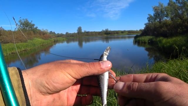В ЭТОЙ МУТНОЙ ЛУЖЕ ЕСТЬ РЫБА. НА УХУ ПОЙМАЛИ ЗУБАСТЫХ. РЫБАЛКА НА СЕВЕРЕ РЕСПУБЛИКИ КОМИ. смотреть онлайн