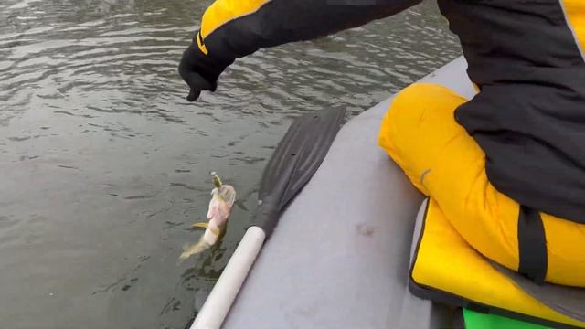 Закрытие лодочного сезона 2022 + рецепты из щуки (26.11.2022) смотреть онлайн