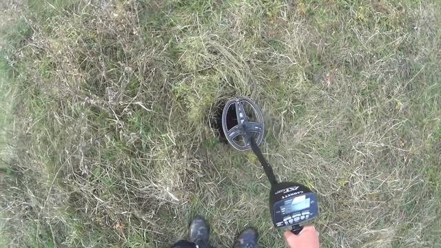 Поиск сокровищ на берегу пруда металлоискателем. Кучка советских монет!!)