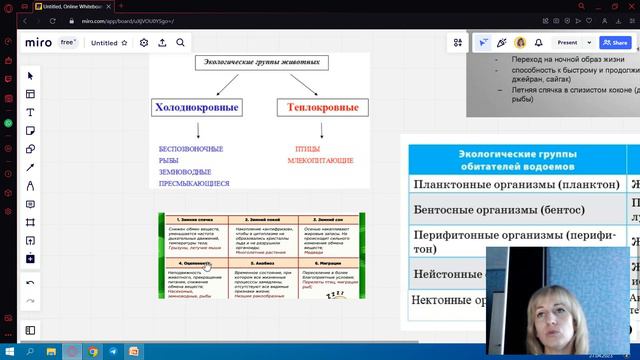 Животные и среда обитания смотреть онлайн