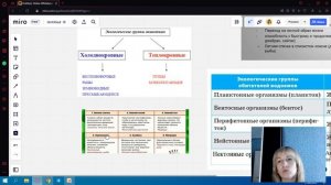 Животные и среда обитания