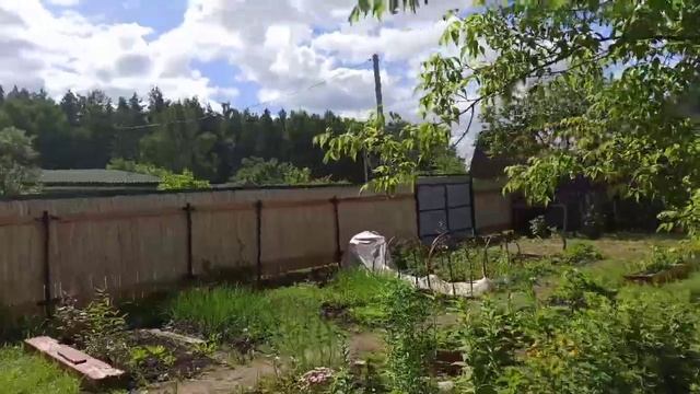 Купили дачу/ Двух часовой забег на дачу / одна трава / смотреть онлайн