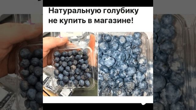 Классная , Сладкая вкусная голубика круглый год у тебя дома смотреть онлайн