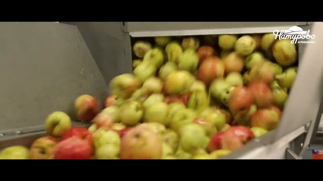 О производстве Агрофабрики Натурово смотреть онлайн