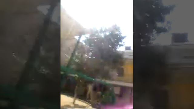 Обзор двора Толстого 12 в поселке Витязево смотреть онлайн