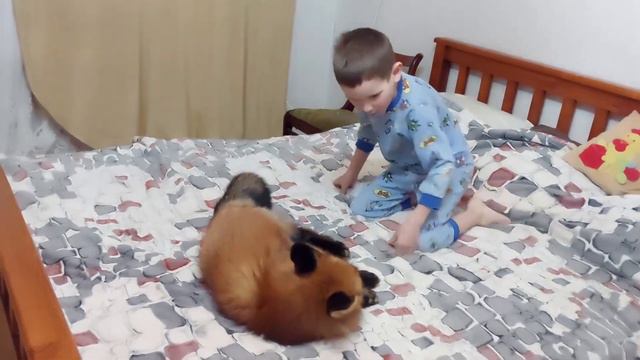 ЛисЯша и Лёша. Хороводы на кровати смотреть онлайн