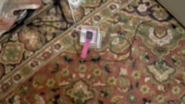 Подарок на новый год . Всех с новым годом !!!!(Чисы телефон) смотреть онлайн