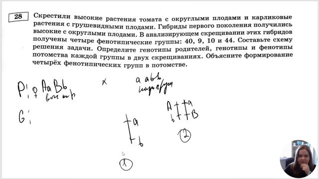 ГЕНЕТИЧЕСКИЕ ЗАДАЧИ ИЗ РЕАЛЬНОГО ЕГЭ НА СЦЕПЛЕННОЕ НАСЛЕДОВАНИЕ смотреть онлайн