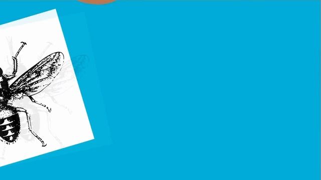 Вовсе не акулы для тебя самые опасные животные! ЭТО БОЛЬШЕ ПЕЧАЛЬНО, ЧЕМ СТРАШНО инфографика смотреть онлайн