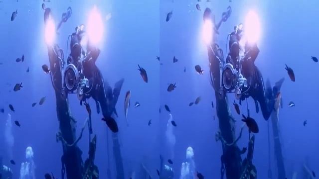 Видео для виртуальных очков океан Ocean World 3D смотреть онлайн