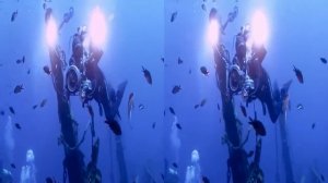 Видео для виртуальных очков океан Ocean World 3D