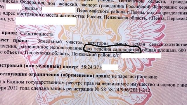 Закон о садоводстве и огородничестве ФЗ 217. Проблемы регистрации домов в СНТ. Последствия смотреть онлайн