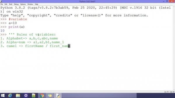 Variables In Python Complete Video (पाइथन के वेरिएबल्स पूरा वीडियो ) | The Code Panda |Python Serie