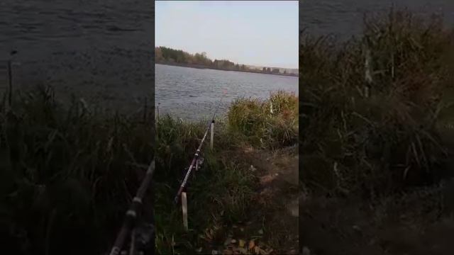 Никола -рыбак. Рыбалка в Тюмени смотреть онлайн