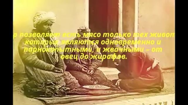 Почему религия запрещает иудеям и мусульманам есть свинину смотреть онлайн