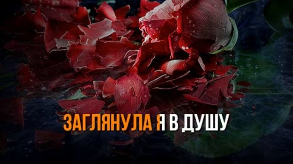 MIROLYBOVA - Зимние розы - ПЛЮС