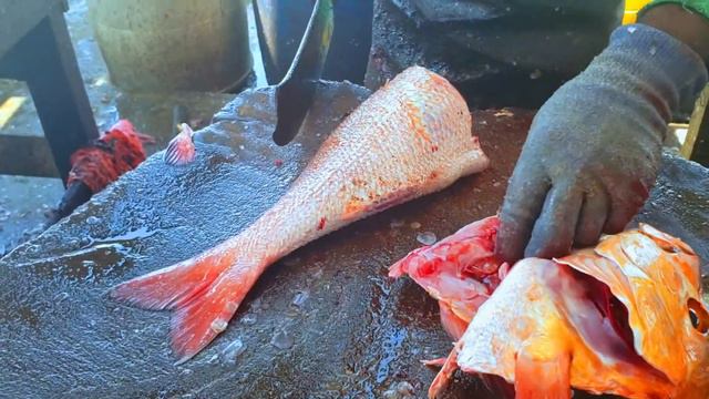 Coral Fish Cutting | Live Heart Of Coral Fish