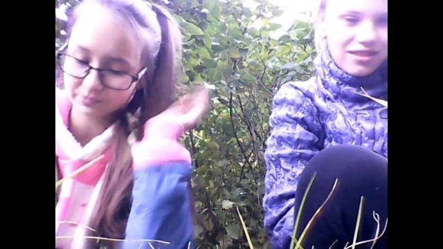 Вопрос-ответ. Вопросы от одноклассников