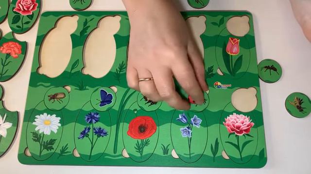 Вариант игры с пособием Цветы и насекомые 3