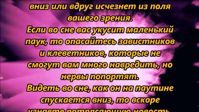 К чему снится паук, пауки смотреть онлайн