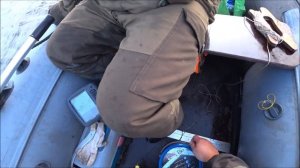 Сом на квок/ Волга / Август 2019