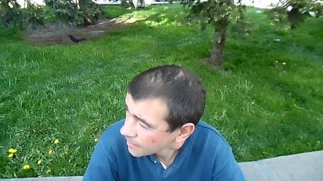 Похмельные заботы Паши смотреть онлайн