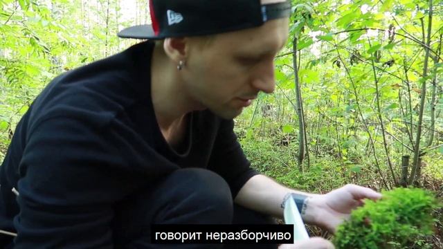 diy картина из мха смотреть онлайн