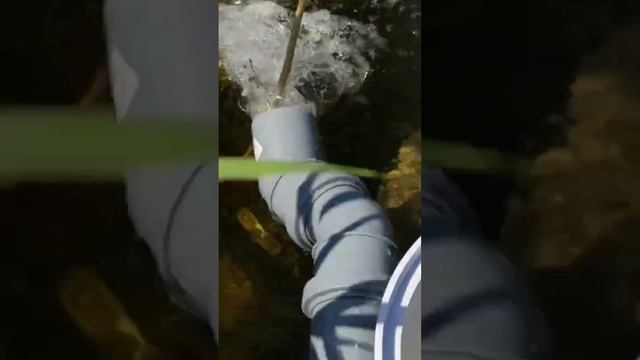 Очищаем пруд и насыщаем воду кислородом | ПРУД ПРУДИ смотреть онлайн