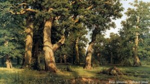 Диктант по русскому языку 5 класс. ЖАРКИЙ ДЕНЬ