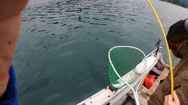 НЕРКА-ЛОСОСЬ. РЫБАЛКА-ТРОЛЛИНГ НА ОЗЕРЕ В США. ПОЙМАЛИ ЛИМИТ И ЗАКОПТИЛИ. KOKANEE FISHING