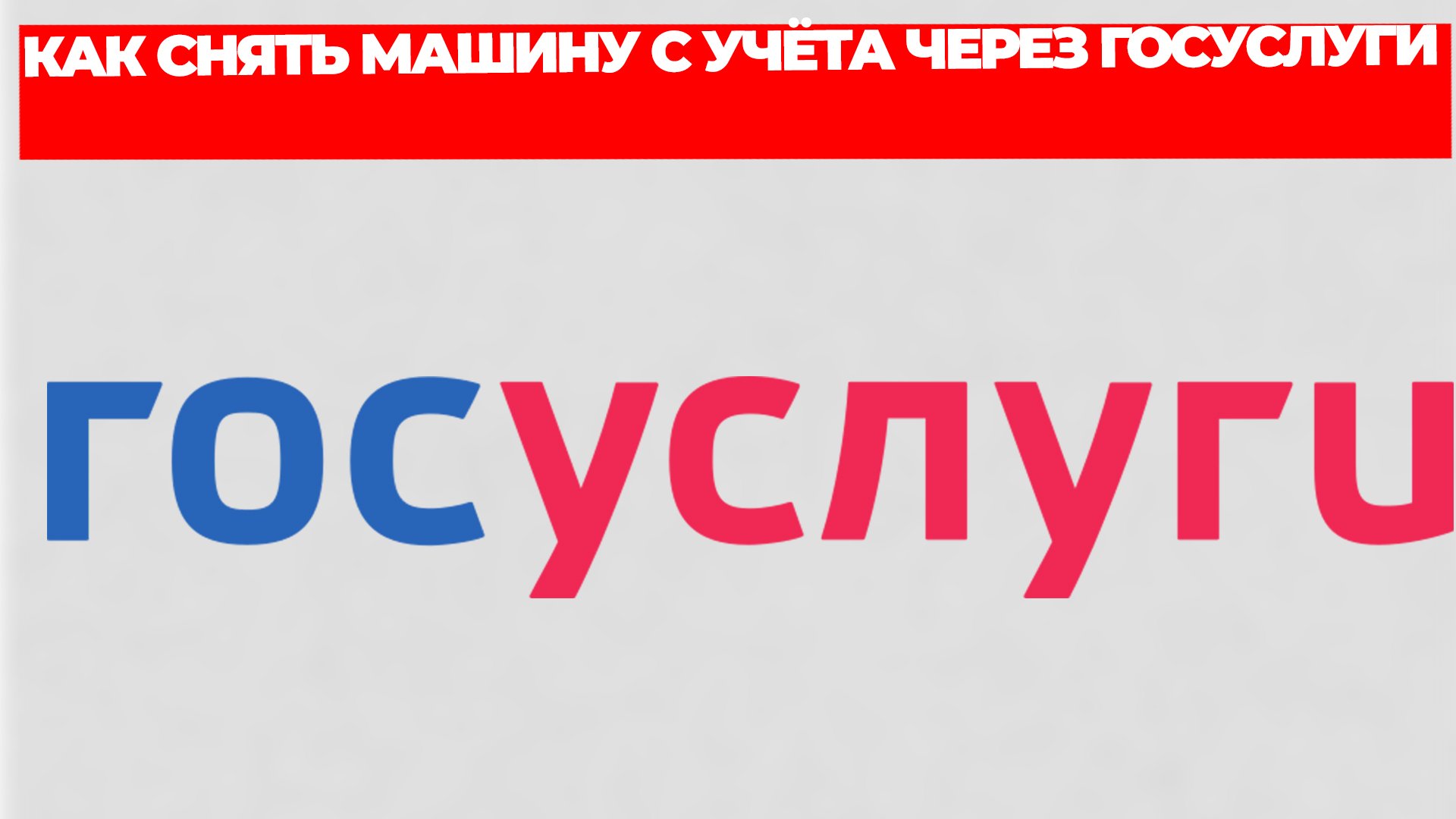 Всезнающий Енот