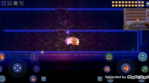 Гайд: Как найти трюфельного червя в терарии