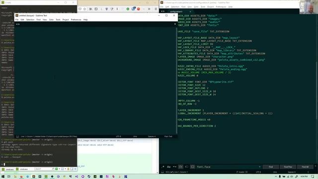 C gamedev - Custom engine смотреть онлайн