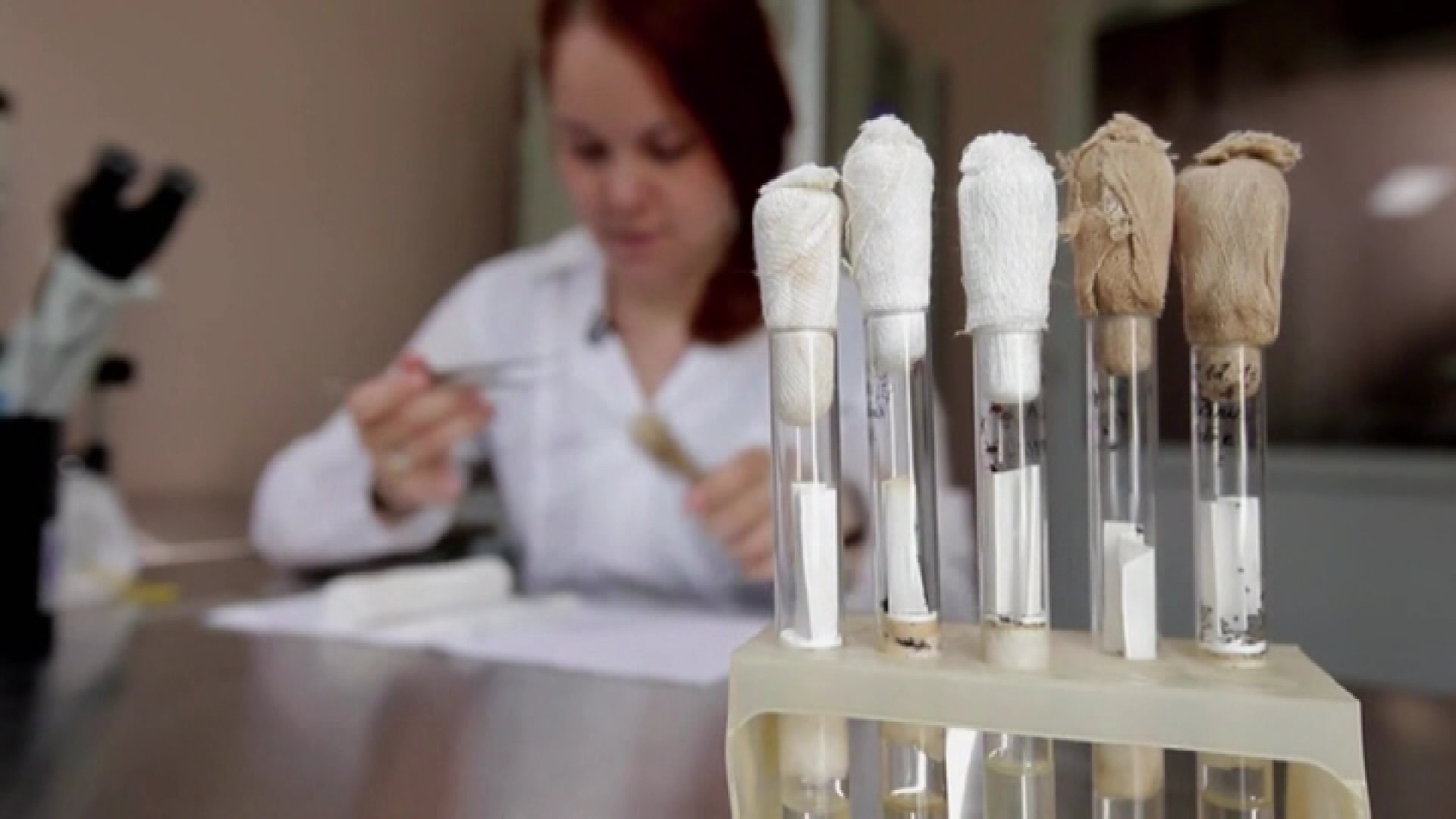 Иксодовые клещи охотятся на югорчан