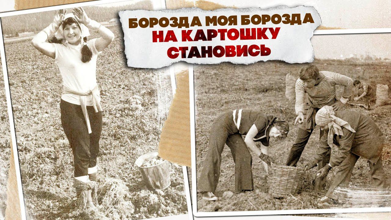БОРОЗДА МОЯ БОРОЗДА! | На картошку становись! Любимые советские песни! @BestPlayerMusic смотреть онлайн