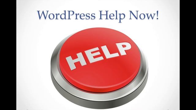 WordPress Support Denver