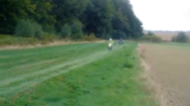 Weeling suzuki rm 80 смотреть онлайн