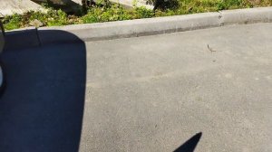 Новое путешествие