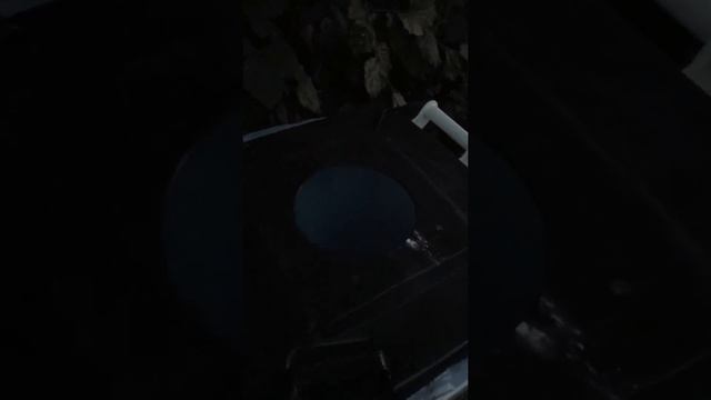 Парк Германия Вупперталь (обзор муссорных баков как все сделано четко и для людей) Работа Германия смотреть онлайн