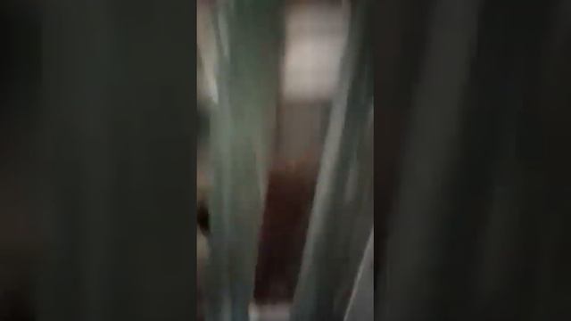 Молодеж.2023.года.Александра.Грибановский.район.Воронежская.обл. смотреть онлайн