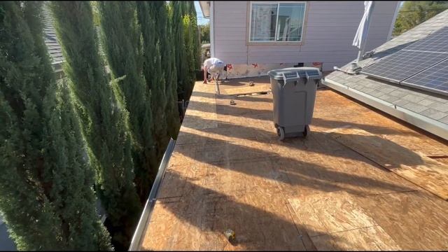 ROOF REPAIR Новая подработка в США. РЕМОНТ КРЫШИ . смотреть онлайн