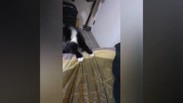 Ну чего ты дразнишься, смотри, что со мной происходит))) смотреть онлайн