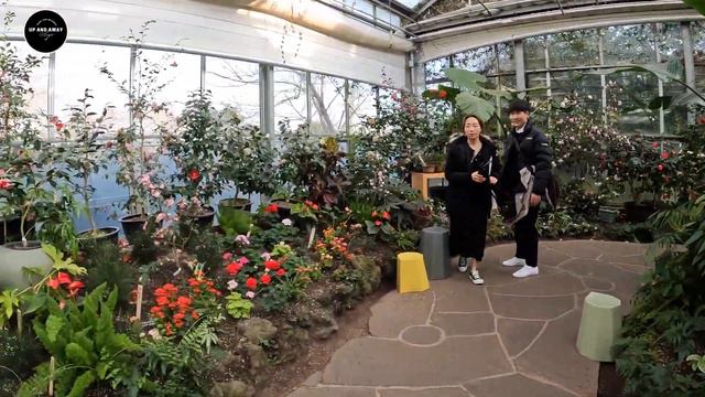 Camellia Hill Jeju Island | Jeju Island Vlog смотреть онлайн