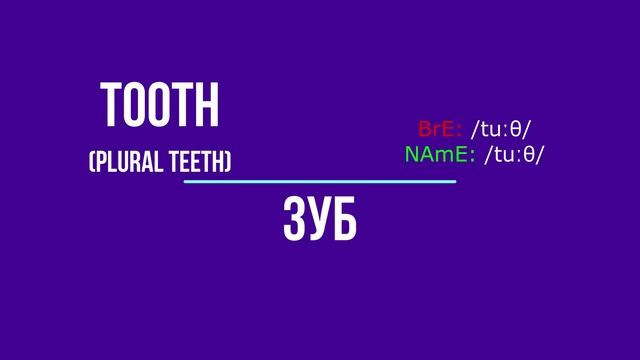 Английские существительные (тело) смотреть онлайн