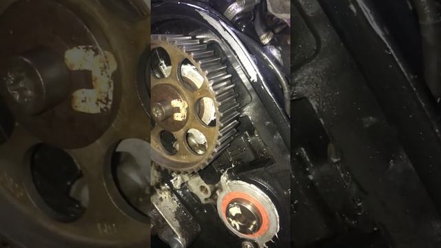 Замена сальника распредвала X20xev 2.0л 16кл опель вектра б