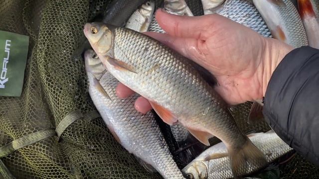 Рыбная Охота